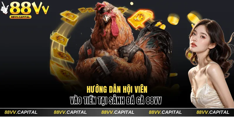 5 bước hướng dẫn vào tiền tại sảnh cược đá gà 88VV