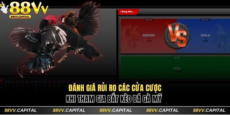 Đánh giá rủi ro khi lựa chọn cửa cược