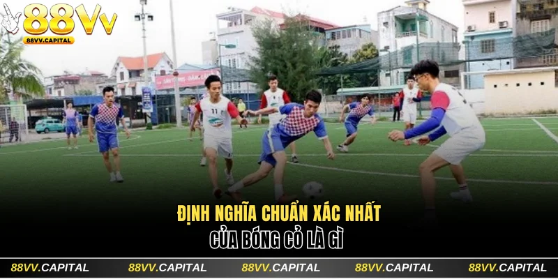 Định nghĩa chuẩn xác nhất của bóng cỏ là gì