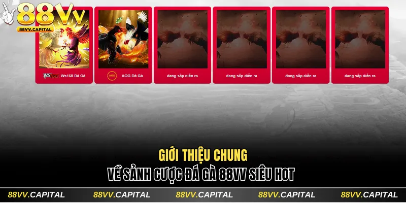 Giới thiệu sức nóng sảnh đá gà 88VV