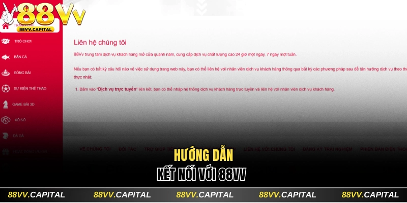 Hướng Dẫn Liên Hệ 88VV Và Các Trường Hợp Cần Kết Nối Sớm 1 Hướng dẫn kết nối với 88VV