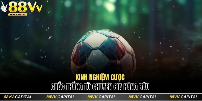 Kinh nghiệm cược chắc thắng từ chuyên gia hàng đầu