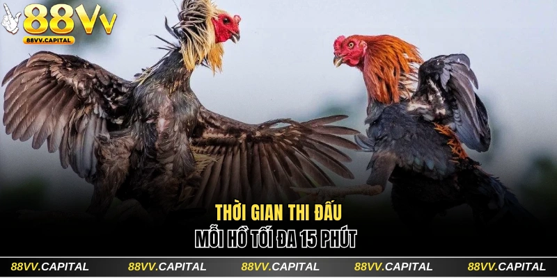 Thời gian thi đấu mỗi hồ tối đa 15 phút