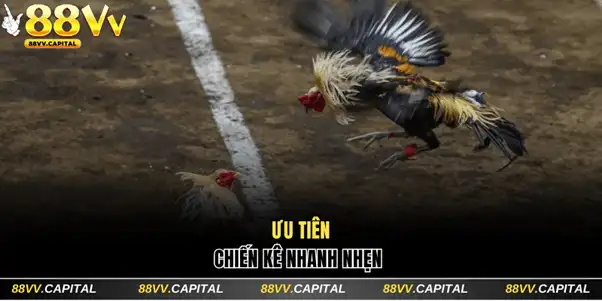 Ưu tiên chiến kê nhanh nhẹn